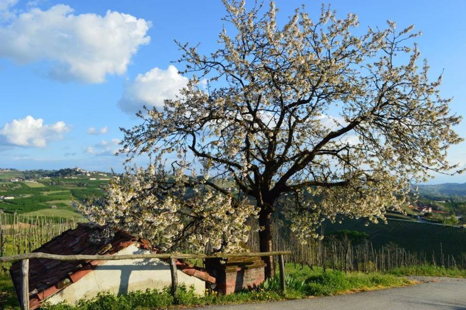 Agriturismo Cascina Rabalot Diano d'Alba Exterior photo